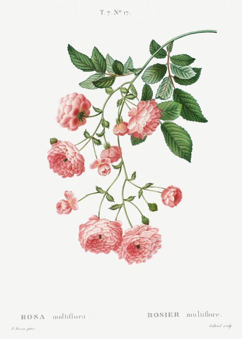 9 Free Floral Printables For Wall Art - Interiors by Abbey - Inspo for ...
